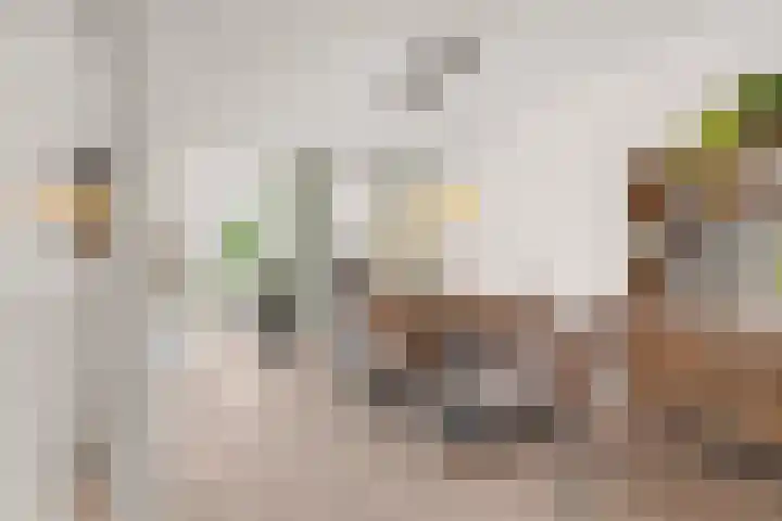 Nonnenplaats 6 Nijmegen thumbnail 9