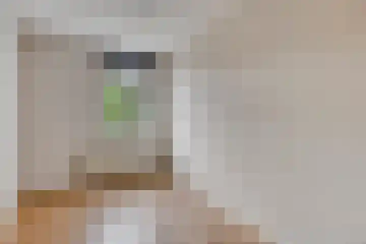 Nonnenstraat 21 Zaltbommel thumbnail 22