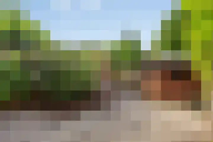 Nonnenstraat 21 Zaltbommel thumbnail 26