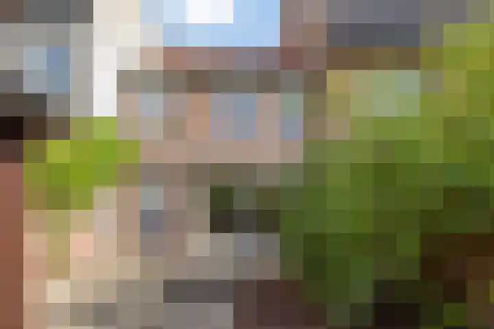 Nonnenstraat 21 Zaltbommel thumbnail 27