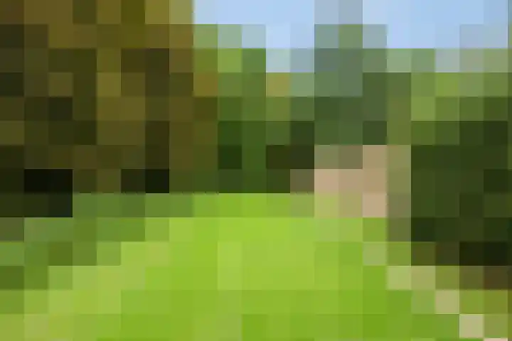 Nonnenstraat 21 Zaltbommel thumbnail 28