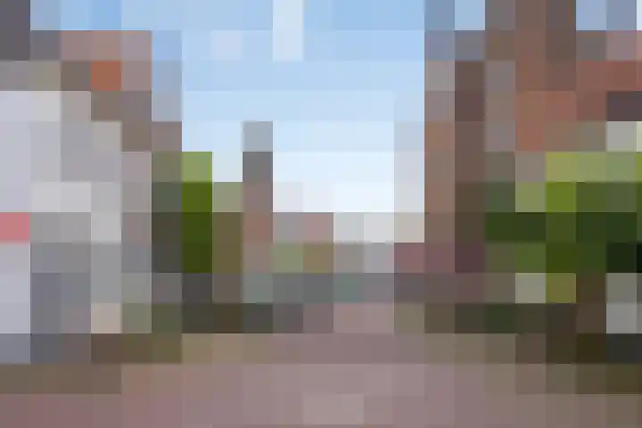 Nonnenstraat 21 Zaltbommel thumbnail 30