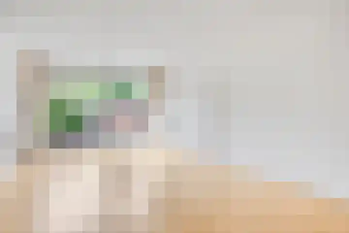 Nonnenstraat 21 Zaltbommel thumbnail 7