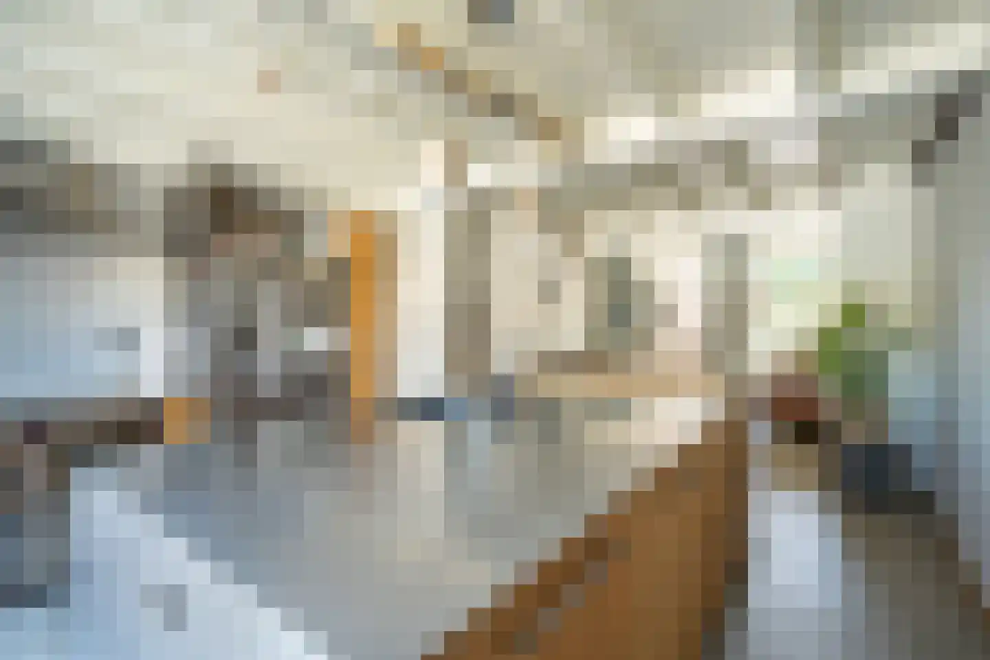 Nonnenstraat 24 Zaltbommel thumbnail 20