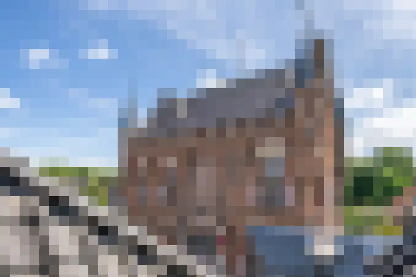 Nonnenstraat 24 Zaltbommel thumbnail 31