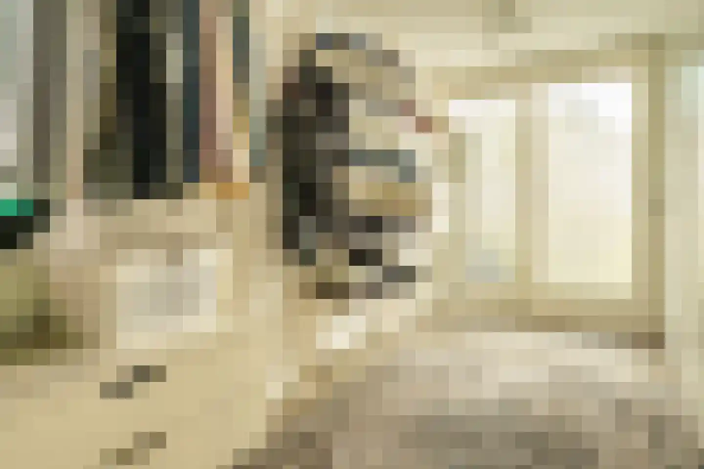Nonnenstraat 24 Zaltbommel thumbnail 37
