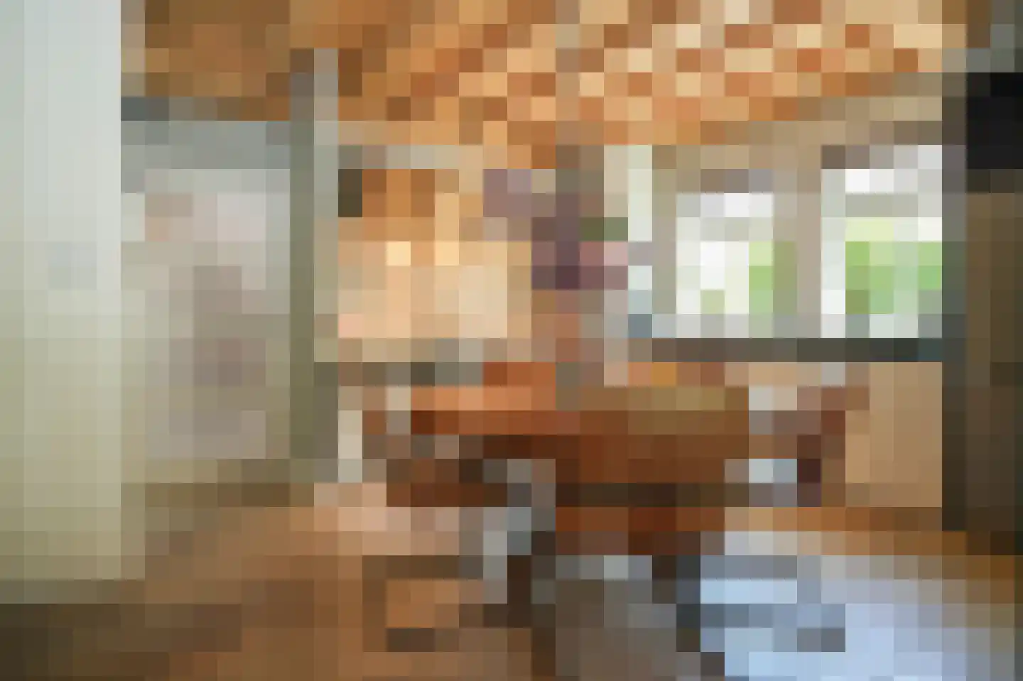 Nonnenstraat 36 Zaltbommel thumbnail 13