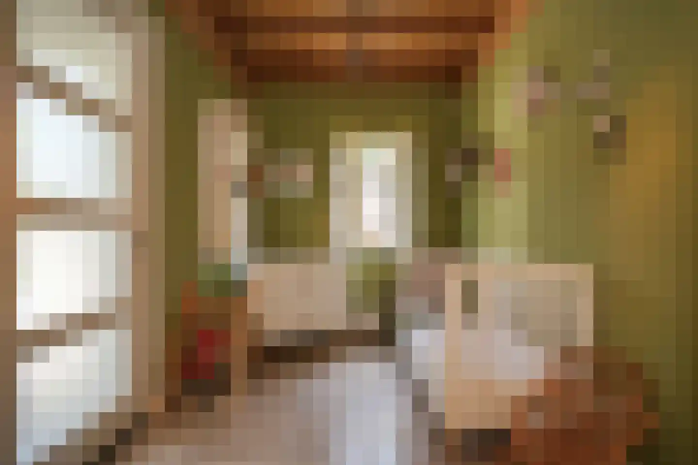 Nonnenstraat 36 Zaltbommel thumbnail 19
