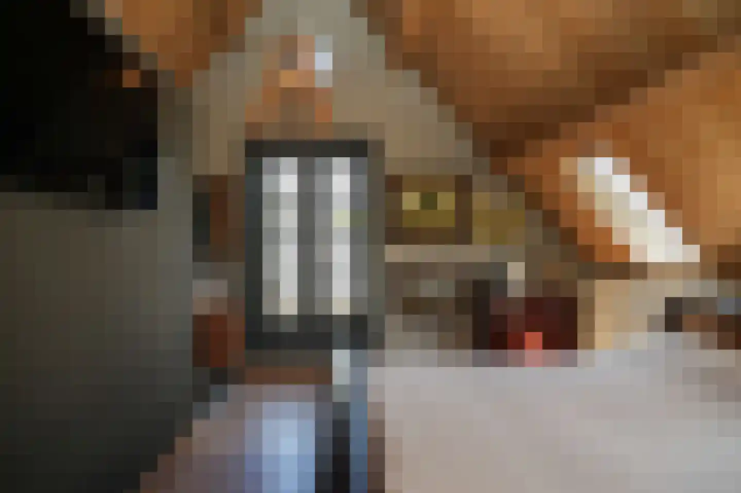 Nonnenstraat 36 Zaltbommel thumbnail 33