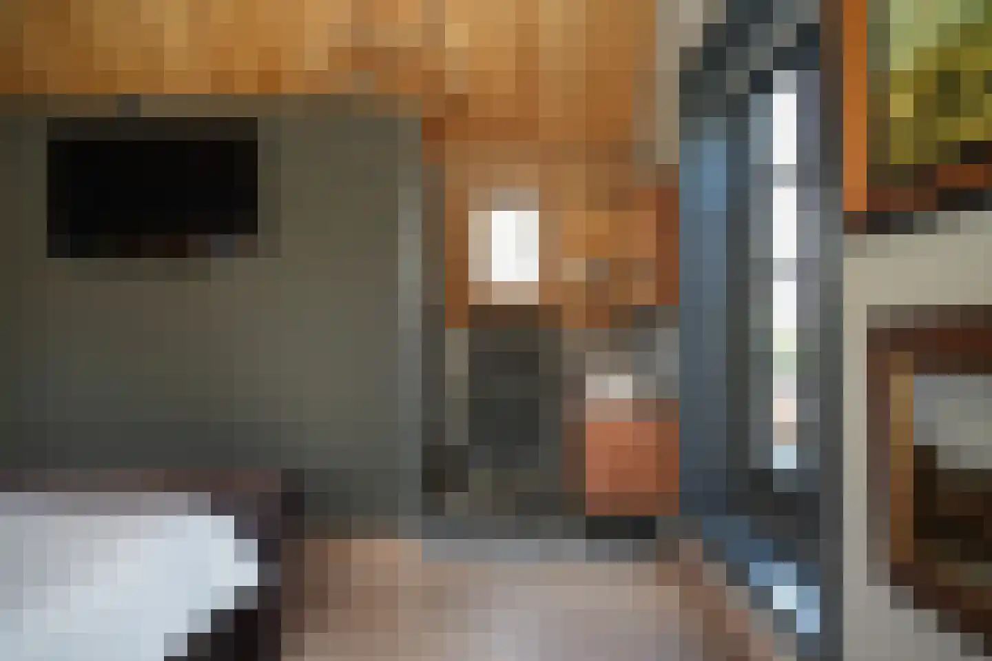 Nonnenstraat 36 Zaltbommel thumbnail 36