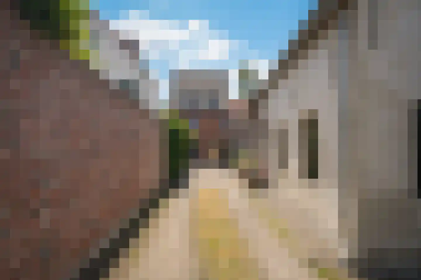 Nonnenstraat 36 Zaltbommel thumbnail 62
