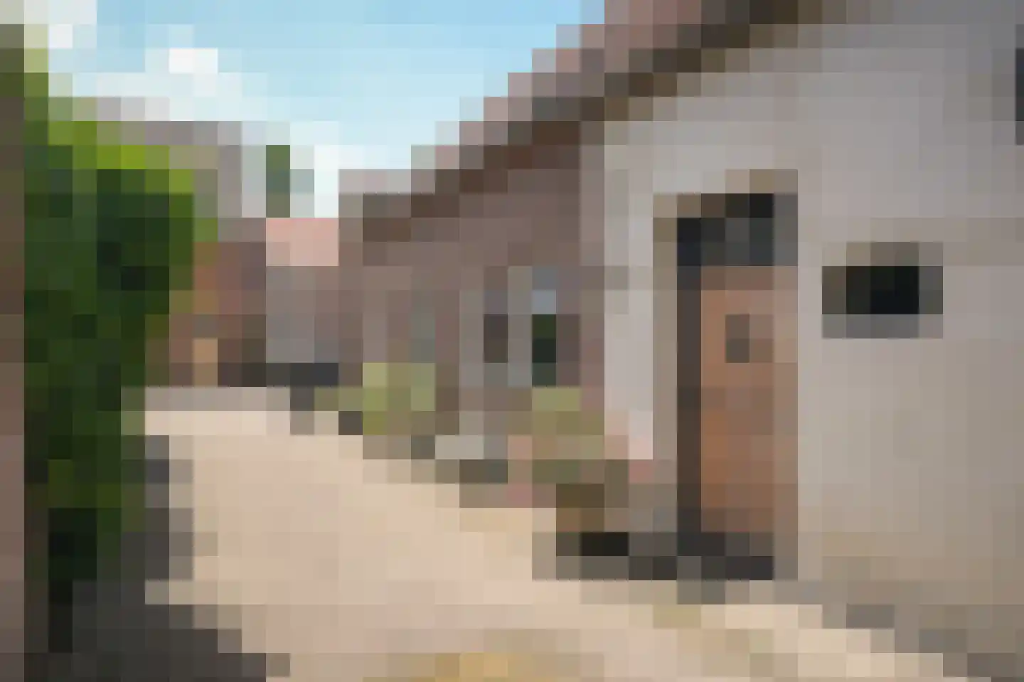 Nonnenstraat 36 Zaltbommel thumbnail 63