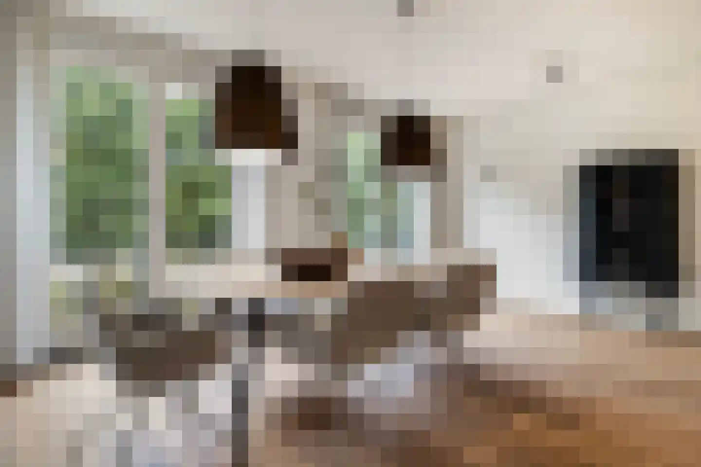 Nonnenveld 120 Breda thumbnail 15