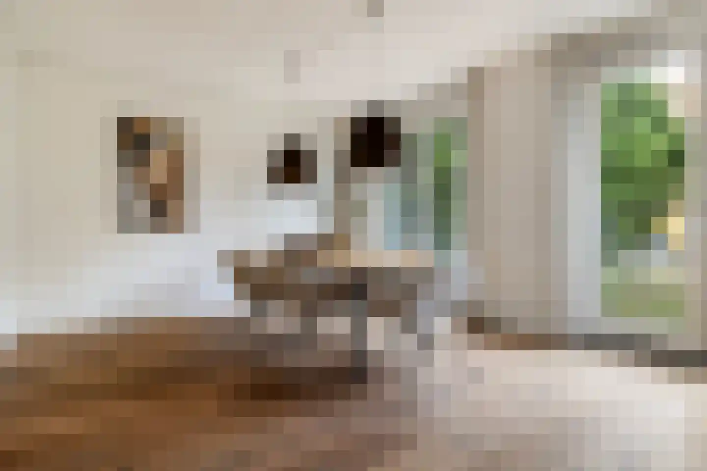 Nonnenveld 120 Breda thumbnail 18