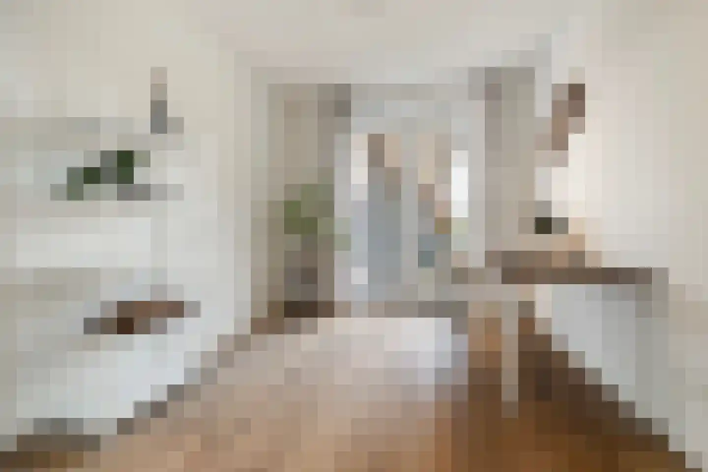 Nonnenveld 120 Breda thumbnail 34