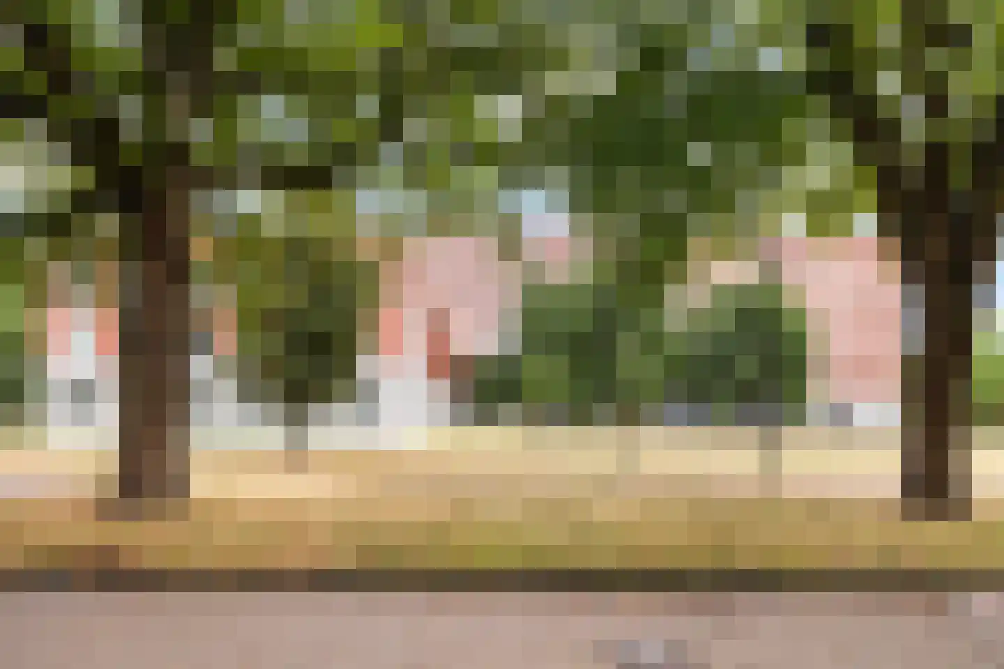 Nonnenveld 120 Breda thumbnail 42