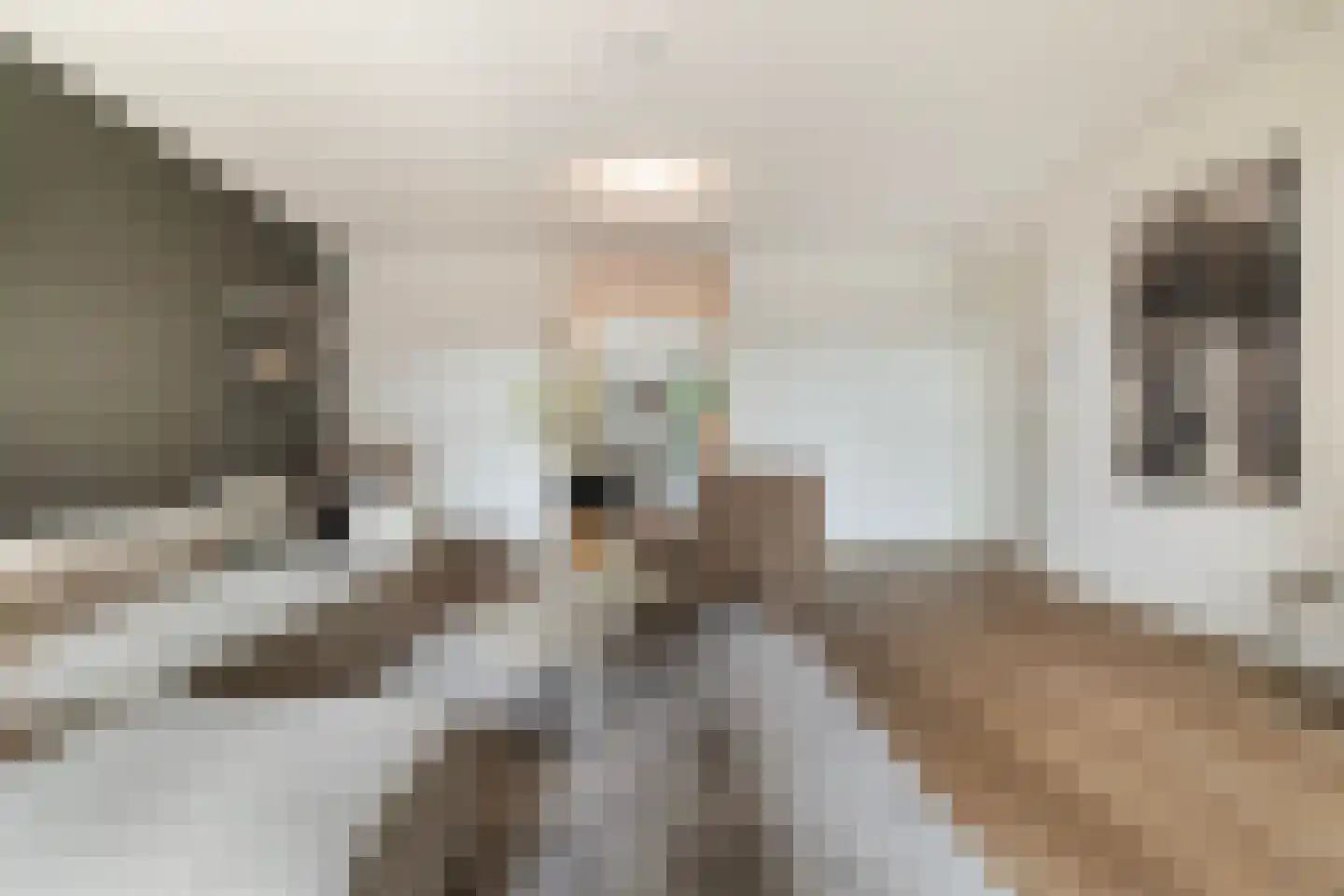Nonnenveld 120 Breda thumbnail 8