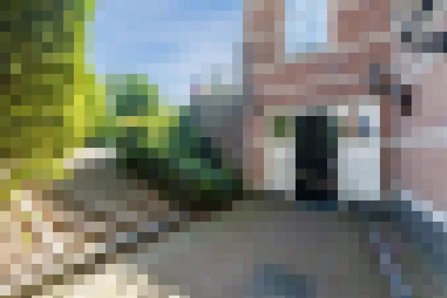 Nonnenveld 122 Gorinchem thumbnail 6
