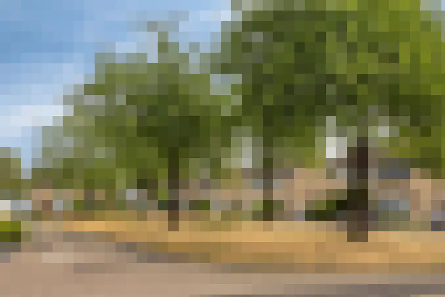 Nonnenveld 14 Oosterhout thumbnail 45