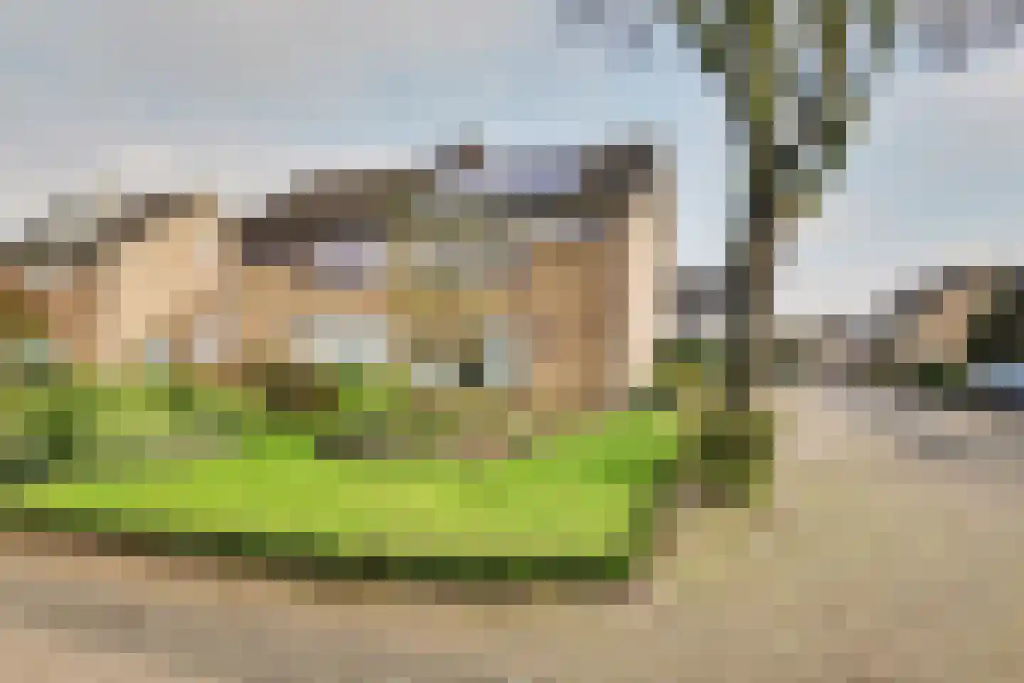 Nonnenveld 21 Oosterhout thumbnail 33
