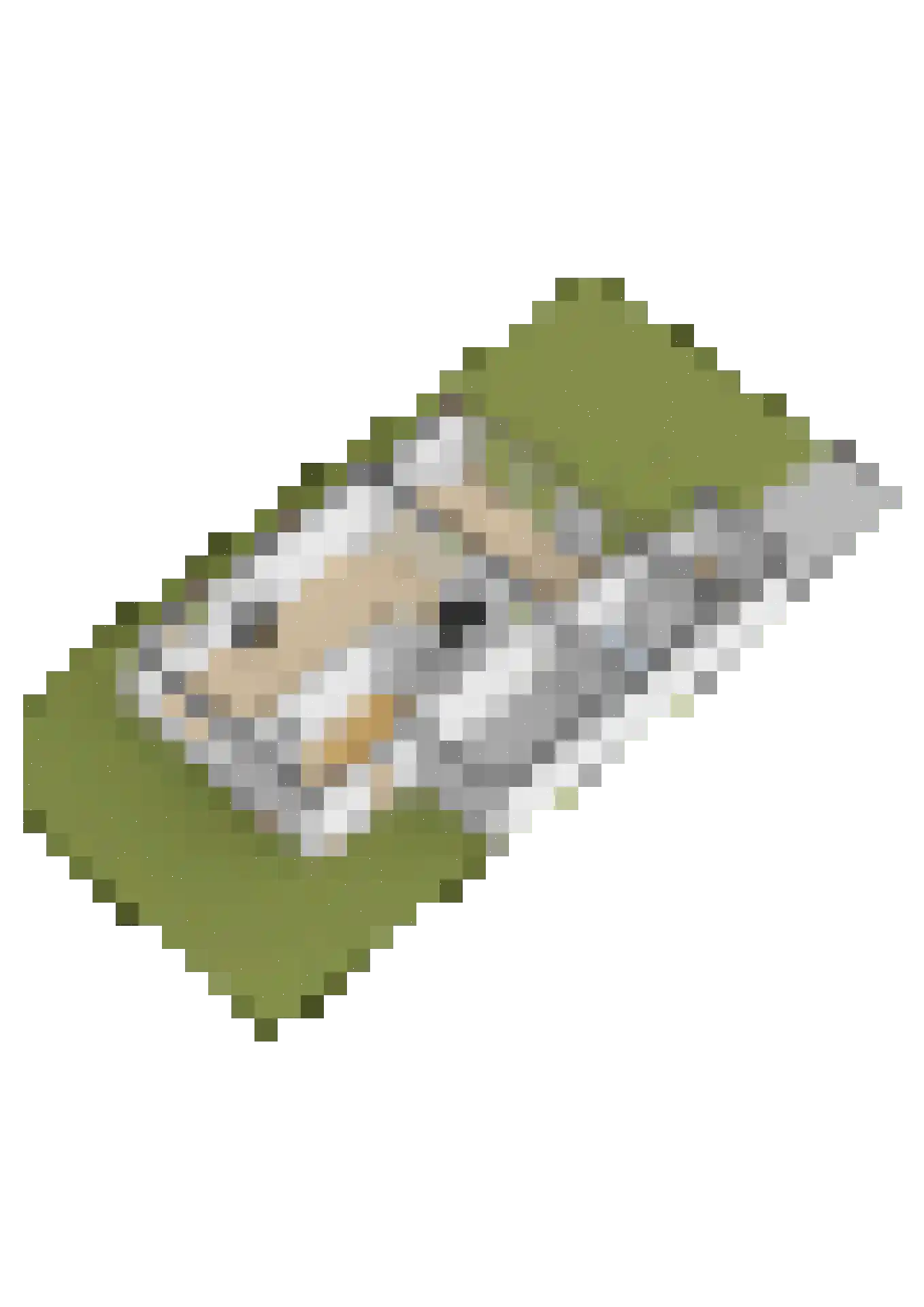 Nonnenveld 23 Oosterhout thumbnail 62