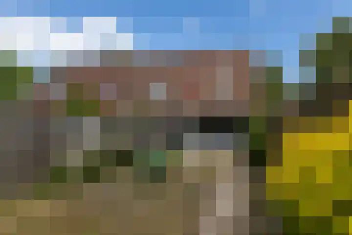Nonnenveld 25 Bergen op Zoom thumbnail 35