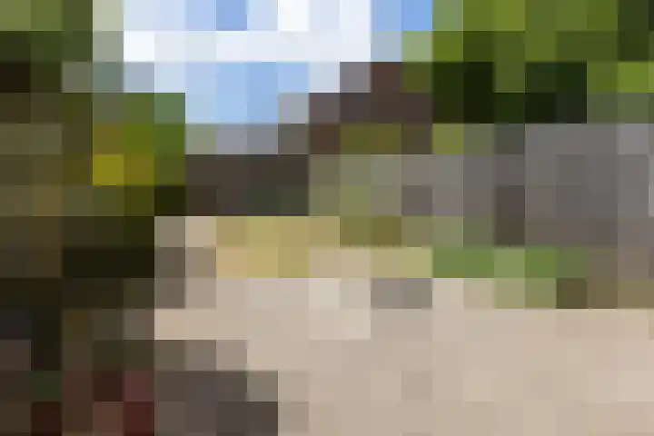 Nonnenveld 25 Bergen op Zoom thumbnail 37