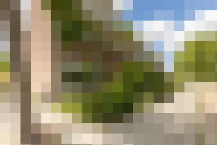 Nonnenveld 25 Bergen op Zoom thumbnail 38
