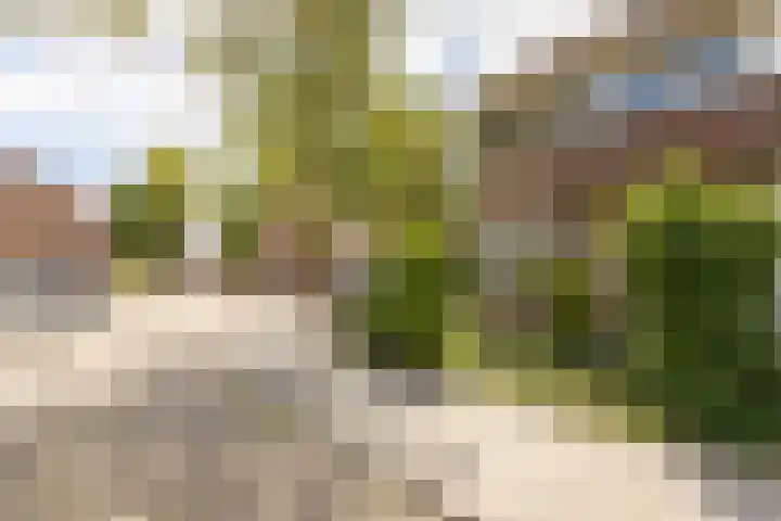 Nonnenveld 25 Bergen op Zoom thumbnail 39