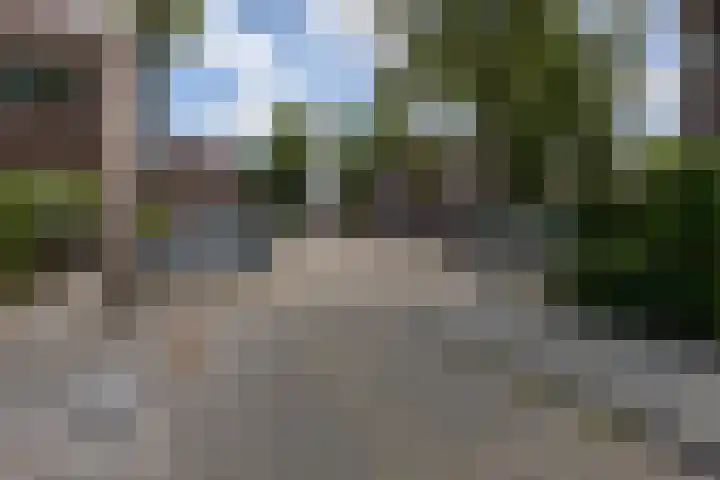 Nonnenveld 25 Bergen op Zoom thumbnail 40