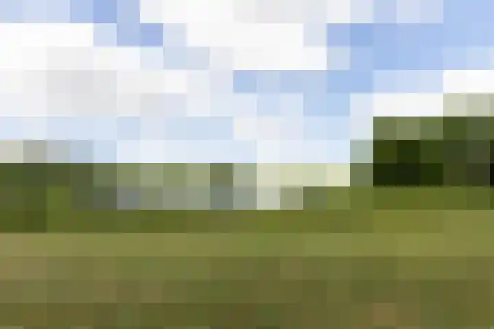 Nonnenveld 25 Bergen op Zoom thumbnail 41