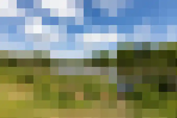 Nonnenveld 25 Bergen op Zoom thumbnail 42