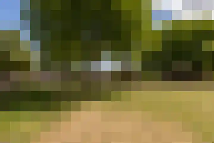 Nonnenveld 25 Bergen op Zoom thumbnail 43