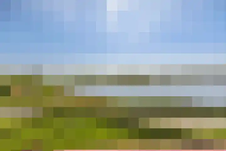 Nonnenveld 26 Gorinchem thumbnail 14