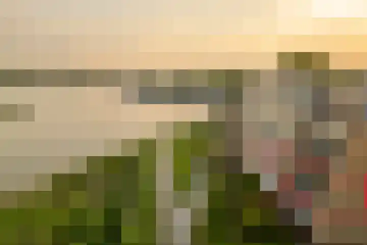 Nonnenveld 26 Gorinchem thumbnail 27