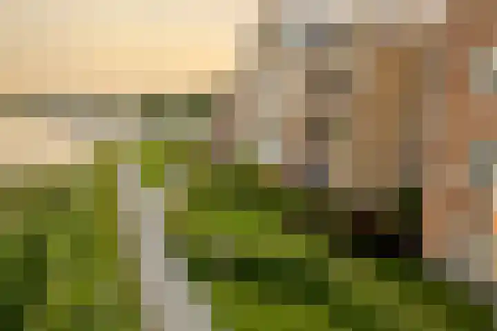 Nonnenveld 26 Gorinchem thumbnail 31