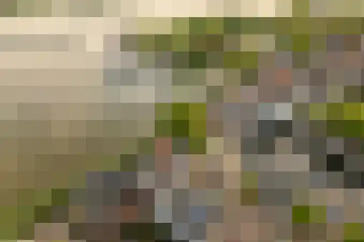 Nonnenveld 26 Gorinchem thumbnail 33