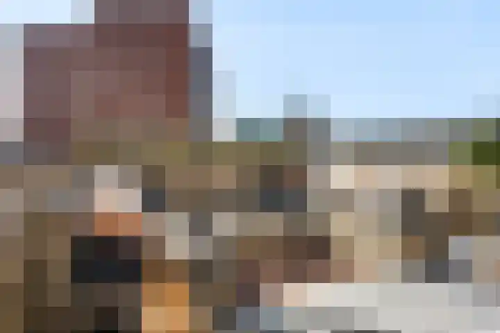 Nonnenveld 34 A Breda thumbnail 32