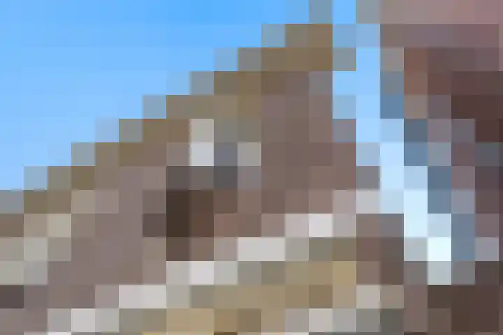 Nonnenveld 34 A Breda thumbnail 41
