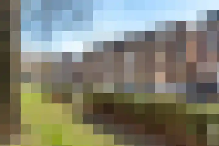 Nonnenveld 34 A Breda thumbnail 45