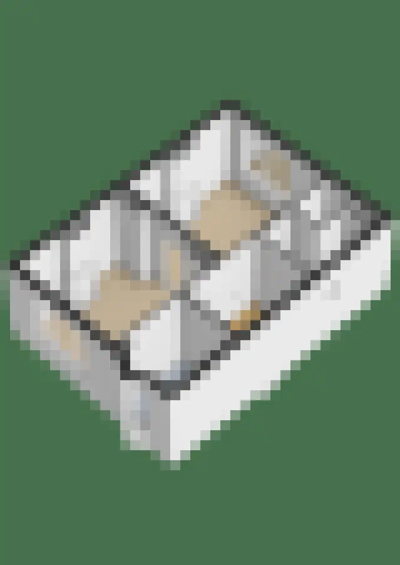 Nonnenveld 34 A Breda thumbnail 53