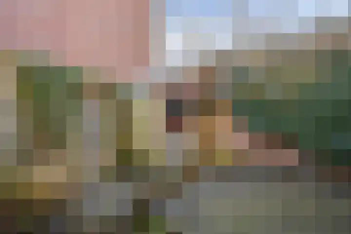 Nonnenveld 34 Breda thumbnail 30