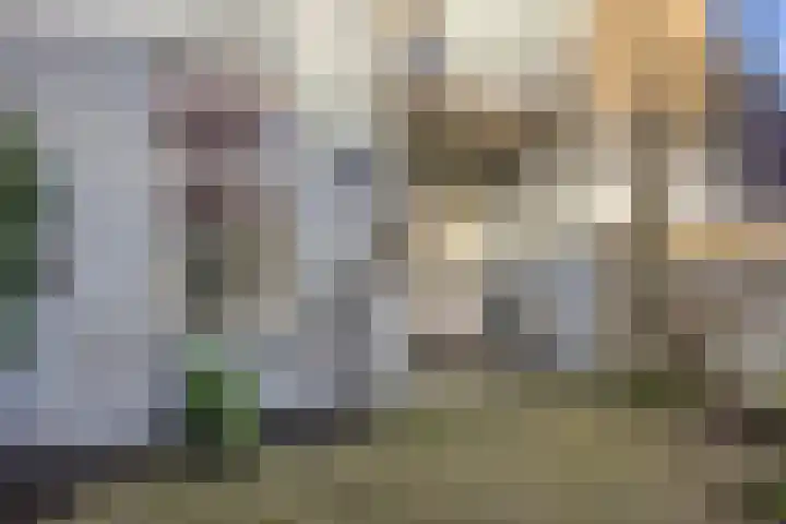 Nonnenveld 34 Breda thumbnail 31