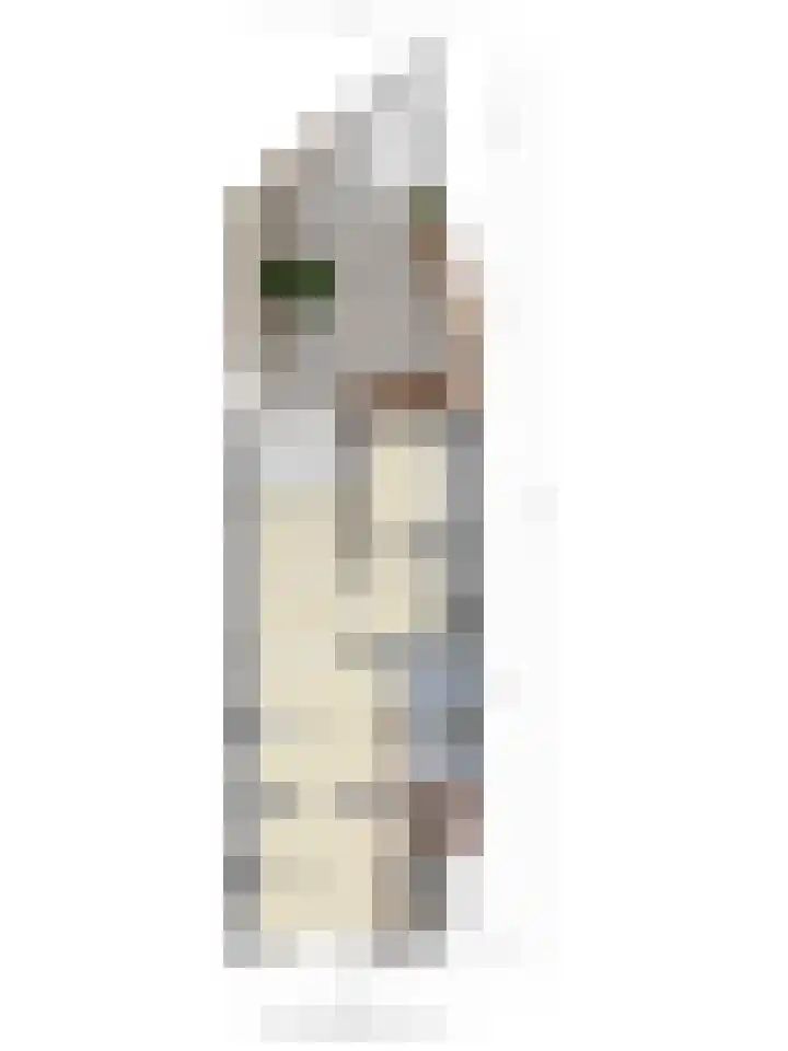Nonnenveld 34 Breda thumbnail 38