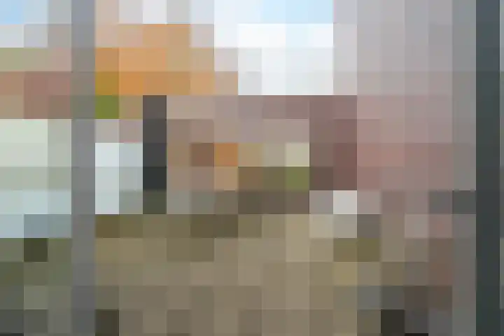 Nonnenveld 46 Breda thumbnail 19