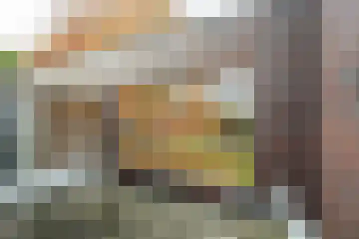 Nonnenveld 46 Breda thumbnail 20