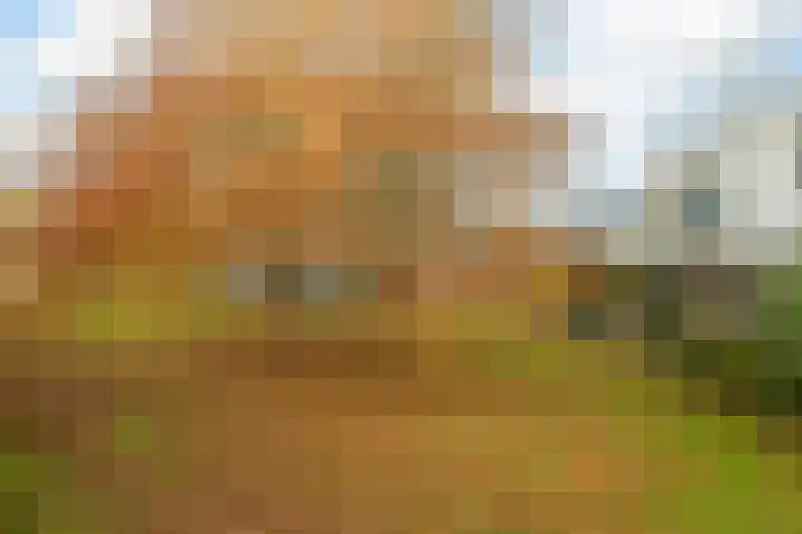 Nonnenveld 46 Breda thumbnail 21