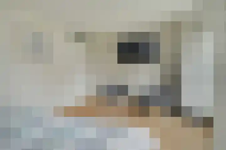 Nonnenveld 46 Breda thumbnail 28