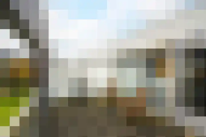 Nonnenveld 46 Breda thumbnail 39