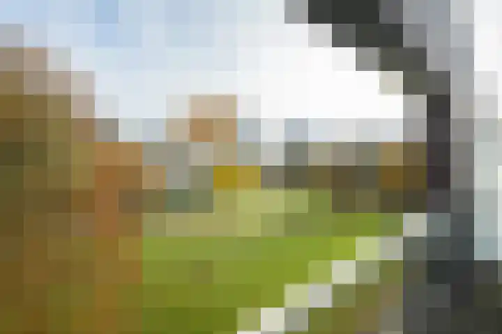 Nonnenveld 46 Breda thumbnail 40